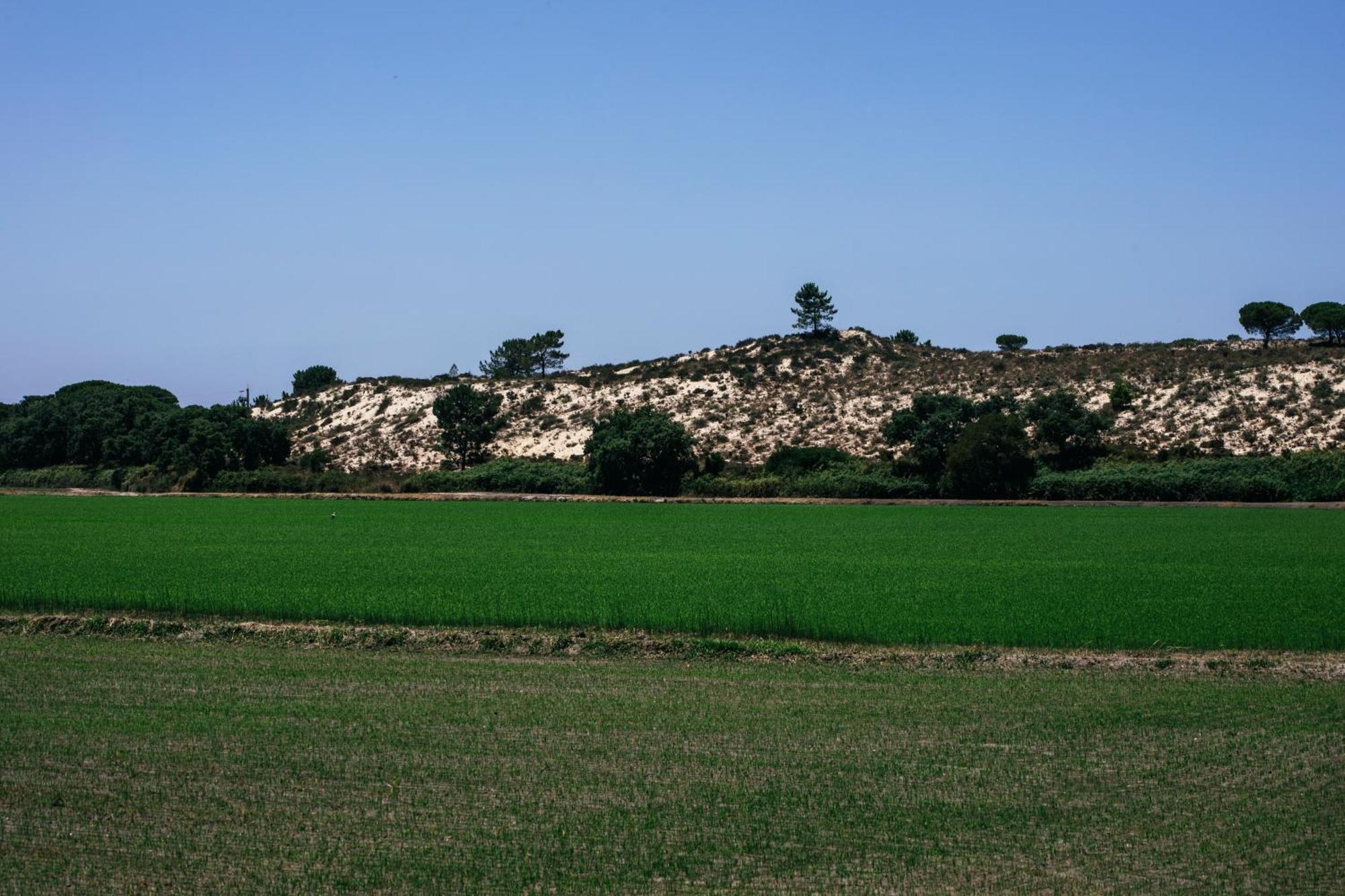 Herdade De Montalvo - 孔波尔塔 外观 照片